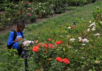 July 30, 2010 - Brooklyn Botanic Garden