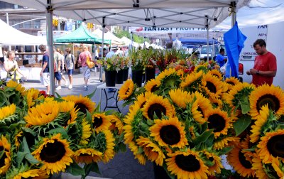 Summer at the Farmers' Market