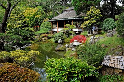 Japanese Tea Garden 