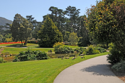 Botanical Garden - San Francisco, CA