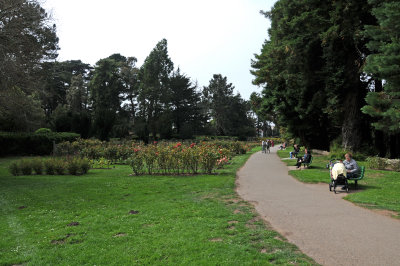 Rose Garden - San Francisco, CA