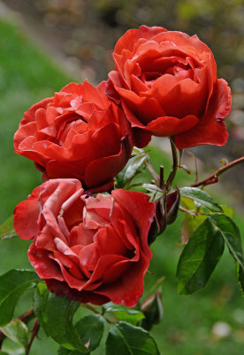 DSC_2755.JPG