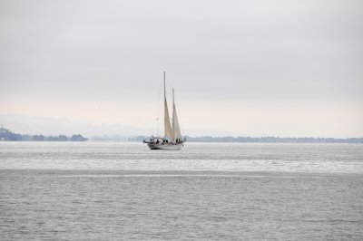 Sail Boat - Embarcadero