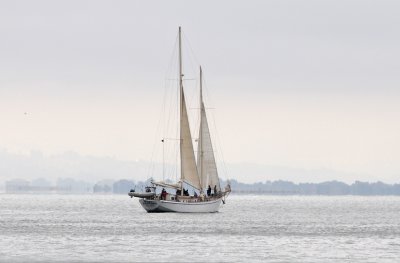 Sail Boat - Embarcadero