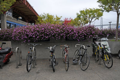 Bycycle Parking - Embarcadero