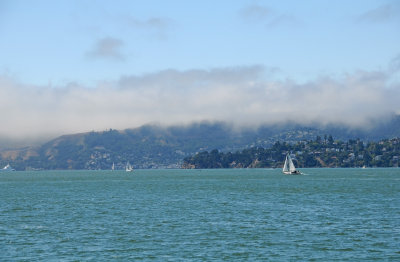 DSC_2825.JPG