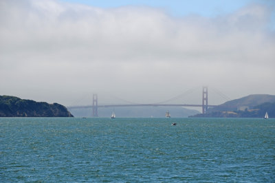 DSC_2828.JPG