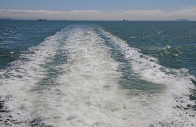 DSC_2831.JPG