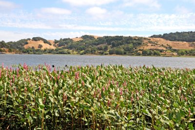 Stafford Lake, CA