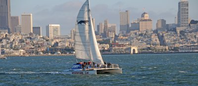 DSC_2962.JPG