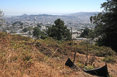 Mount Davidson & Vicinity