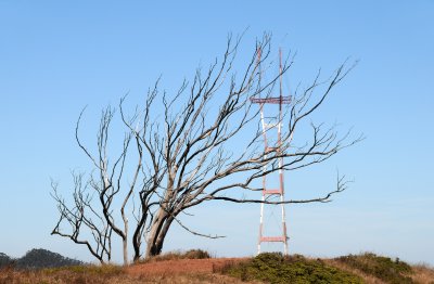 Mount Davidson & Vicinity