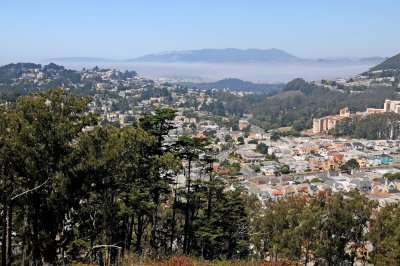 Mount Davidson & Vicinity