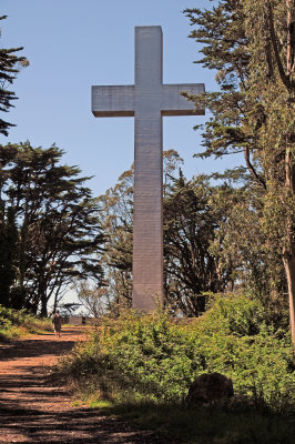 Mount Davidson & Vicinity