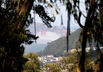 Mount Davidson & Vicinity