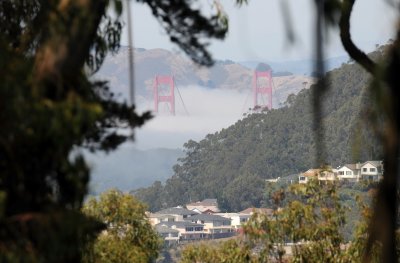 Mount Davidson & Vicinity