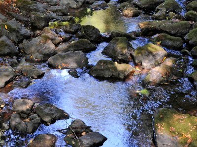 Stream Bed with Reflections
