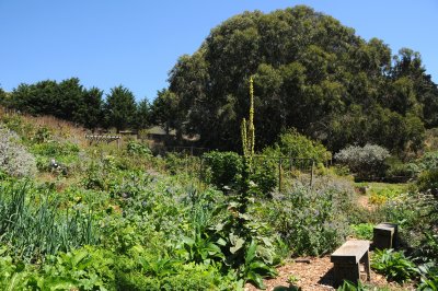 Slide Ranch, CA