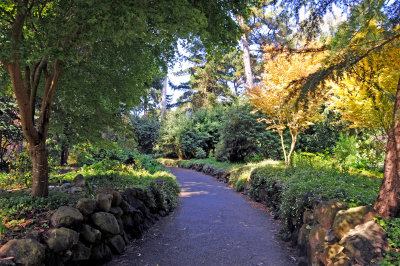 Stow Lake - Golden Gate Park