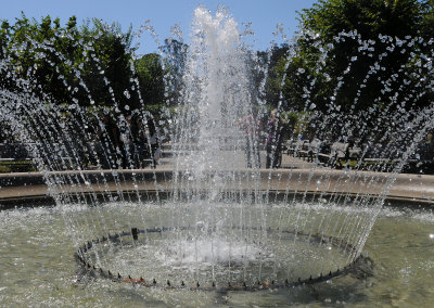 Golden Gate Park