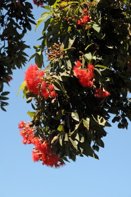DSC_4369.JPG