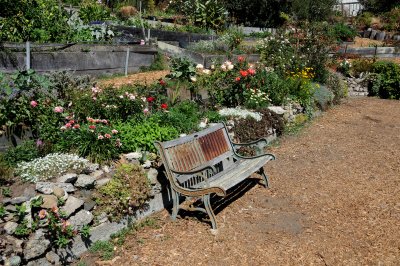 Fort Mason Community Garden