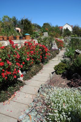 Fort Mason Community Garden