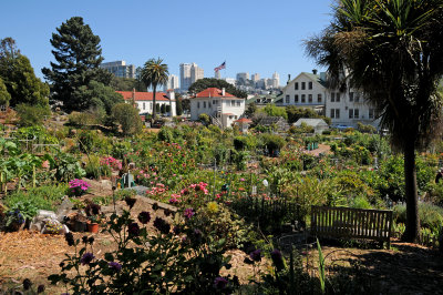 Fort Mason Community Garden