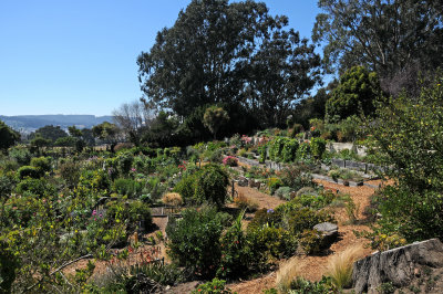 Fort Mason Community Garden