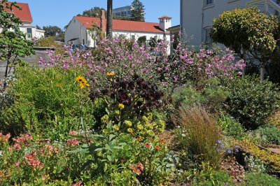 Fort Mason Community Garden