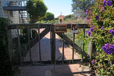 Fort Mason Community Garden