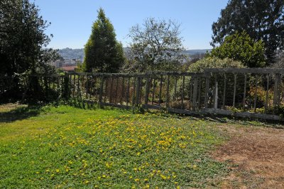 DSC_4448.JPG