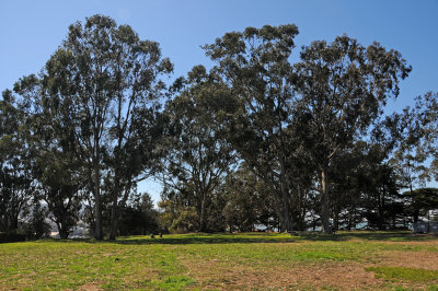 DSC_4449.JPG