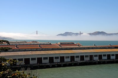 DSC_4458.JPG