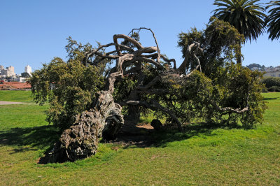 DSC_4475.JPG