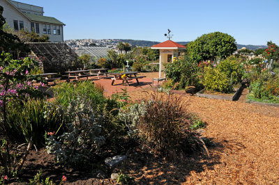 Fort Mason Community Garden