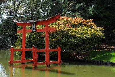 Shinto Gate with Maple Tree Fall Colors