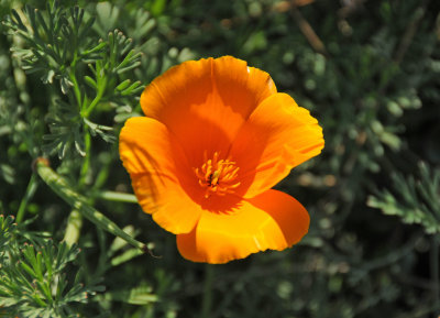 DSC_5089.JPG