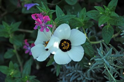 DSC_5094.JPG