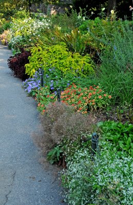 DSC_5098.JPG