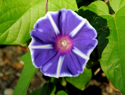 DSC_5103.JPG