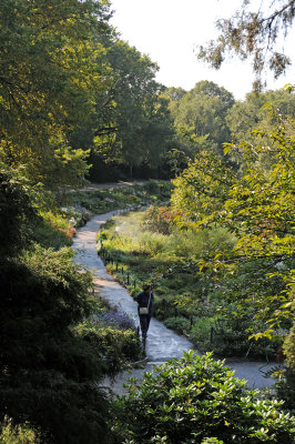 DSC_5106.JPG