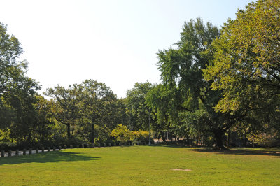 DSC_5113.JPG