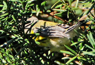 DSC_5116.JPG