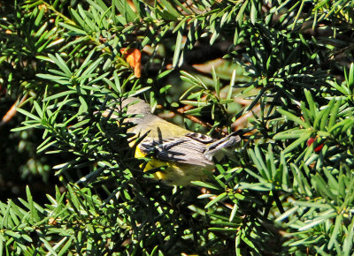 DSC_5117.JPG