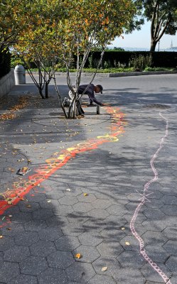 A Path of Fall Colors