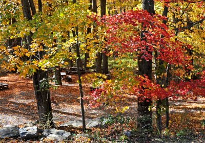 Chuang Yen Monastery - Carmel, NY