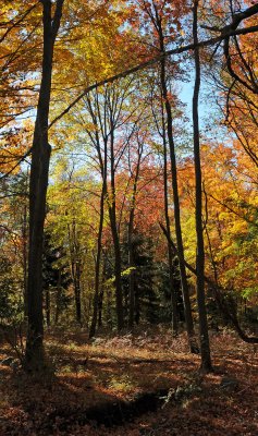 Chuang Yen Monastery - Carmel, NY