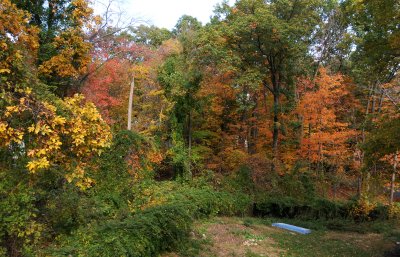 Putnam Lake