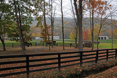 Horse Farm